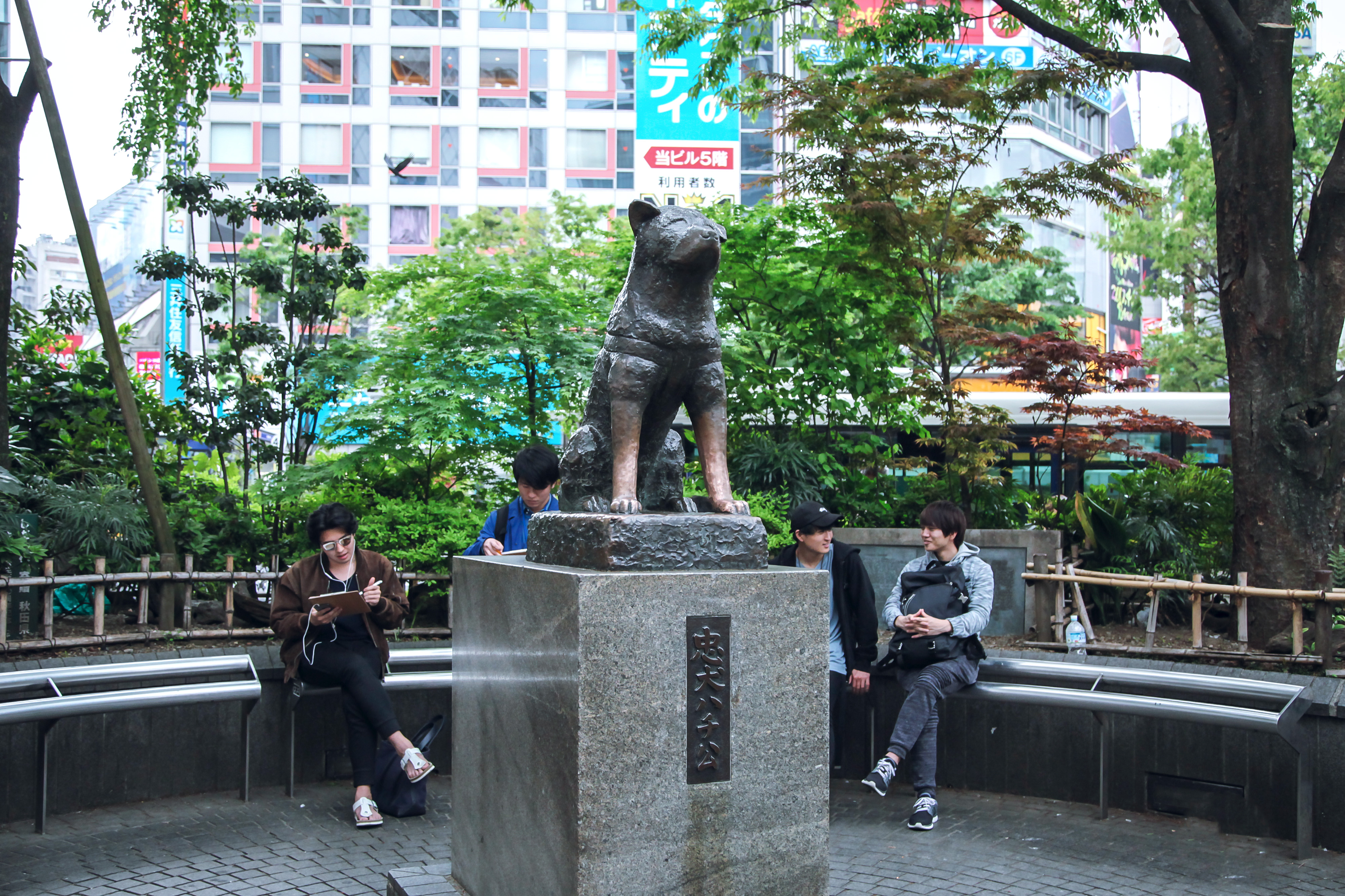 Hachiko Statue travel guidebook –must visit attractions in Tokyo – Hachiko  Statue nearby recommendation – Trip.com