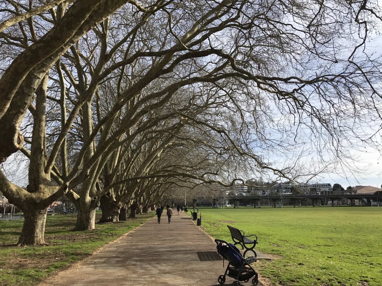 离queen stree 很近,值得走一走.