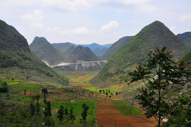 附近有一个典型的喀斯特漏斗,里面居然还种着粮食 从这里开始就下大坡了