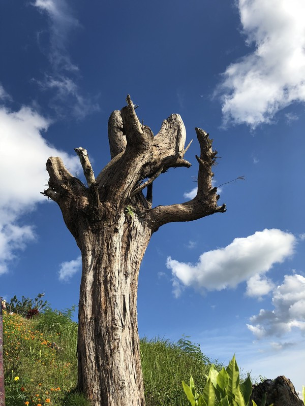 一英语文盲如何一人报团菲律宾外加独自一人一