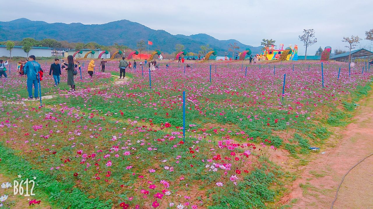 天适樱花悠乐园