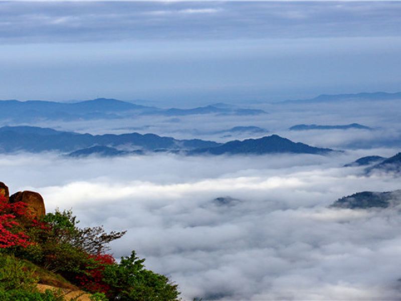 青阳莲峰云海景区攻略-莲峰云海景区门票价格多少钱-团购票价预定优惠