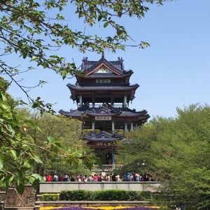 無錫旅遊景點推薦 - 去哪兒攻略社區