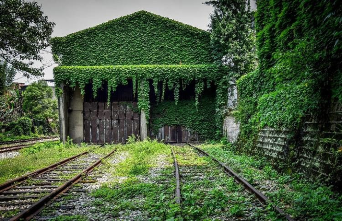 洪崖洞游玩攻略一天 10010r000000hceewD8FC_R_671_10000_Q90.png?proc=autoorient