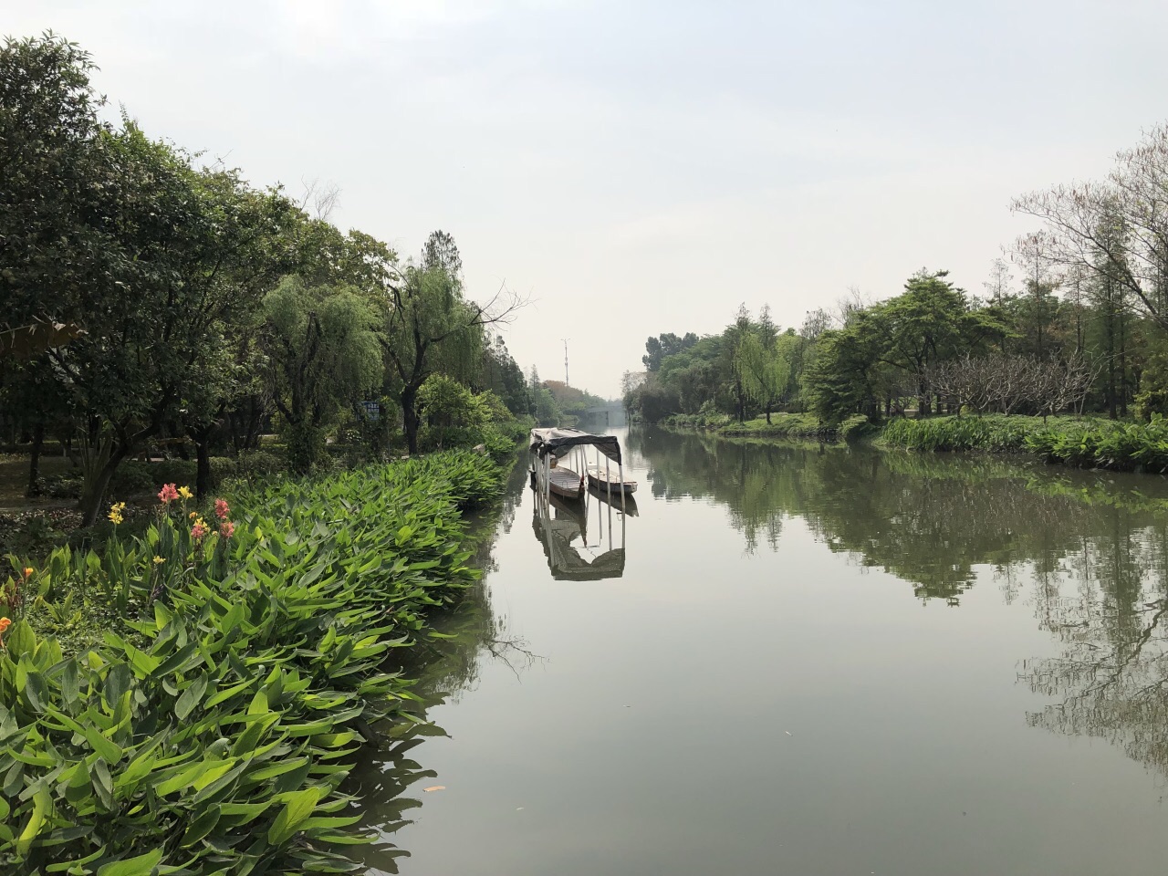 湿地公园|摄影|人文/纪实摄影|zhaohaijung - 原创作品 - 站酷 (ZCOOL)