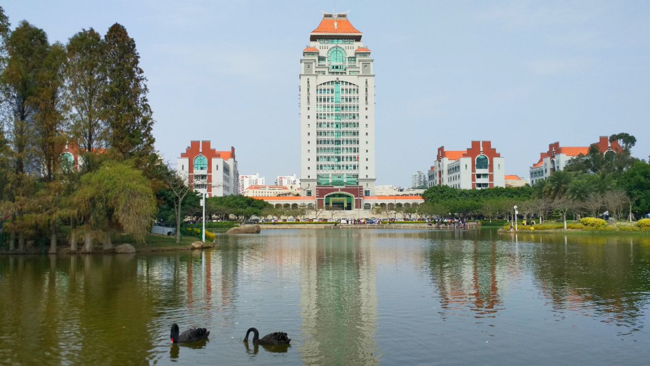 厦门大学最美的就是芙蓉湖面那道"倩影"——黑天鹅