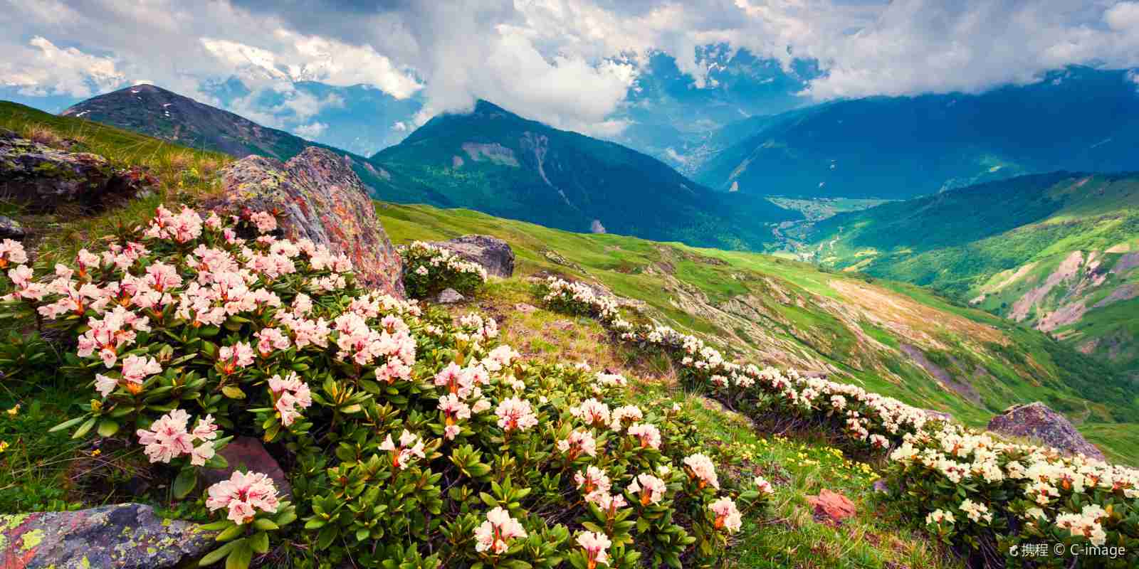 Best 20 Recommended Georgia Hotels