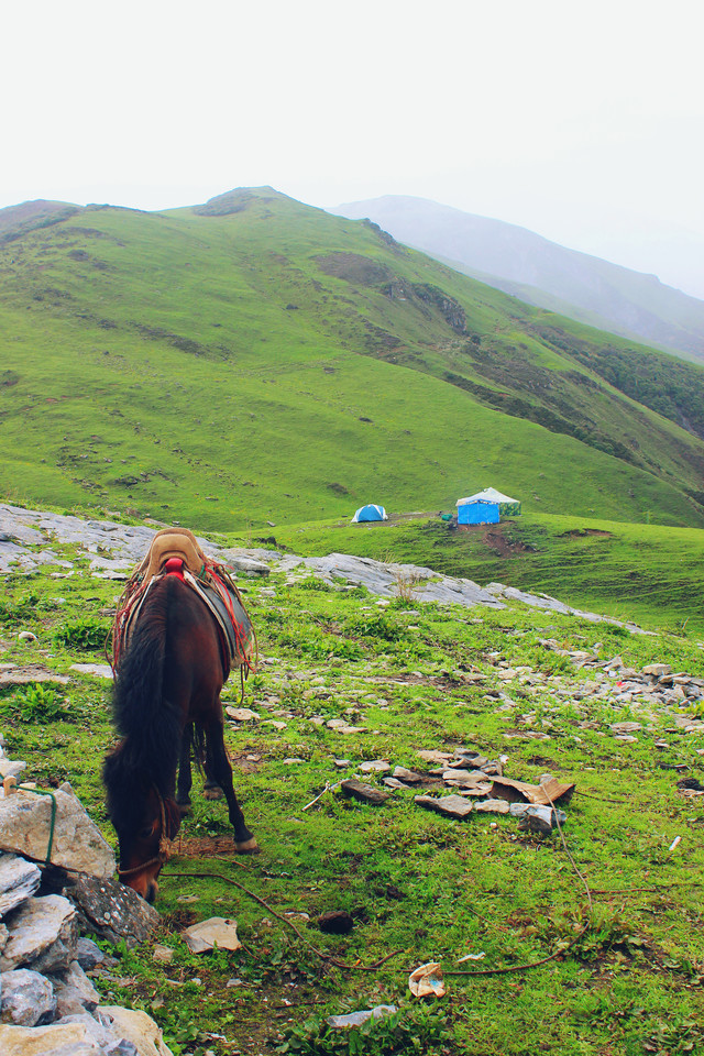 彩虹歌∣九顶山徒步二日行记
