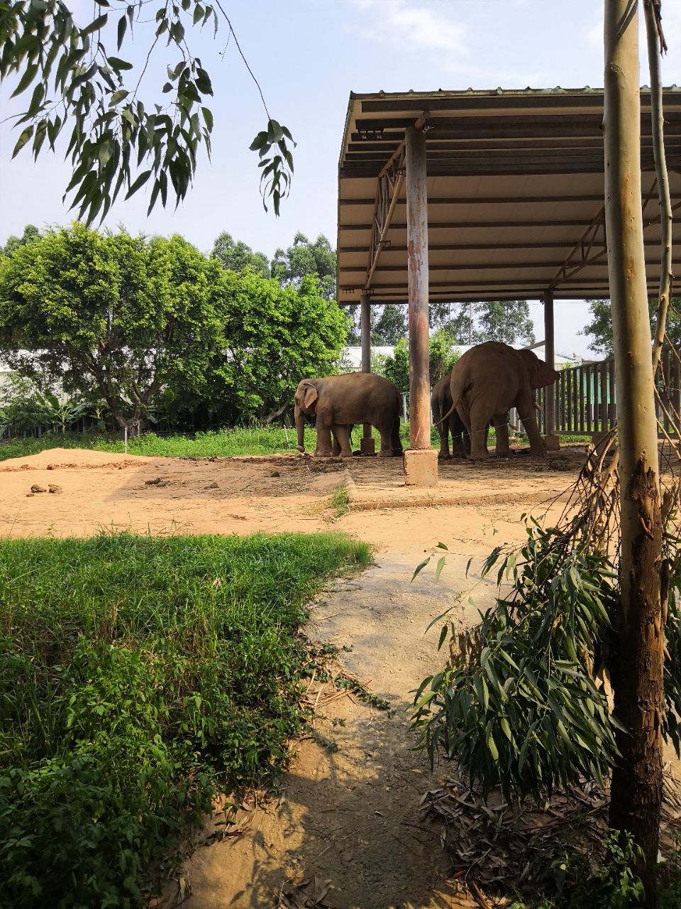 東莞香市動物園好玩嗎,東莞香市動物園景點怎麼樣_點評_評價【攜程