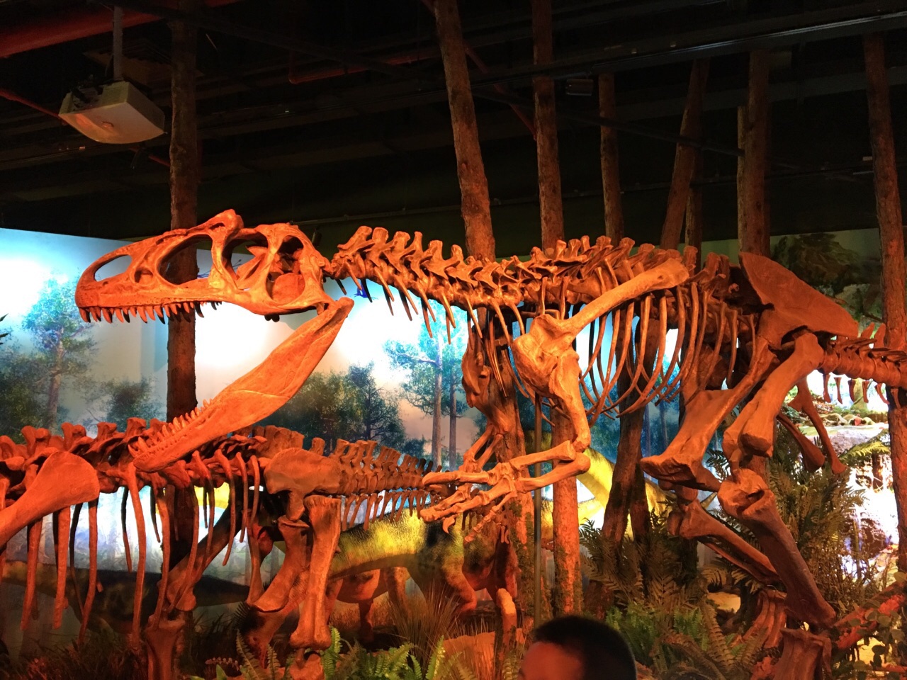 正佳自然科学博物馆