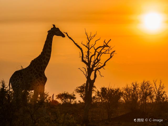 克留格尔国家公园