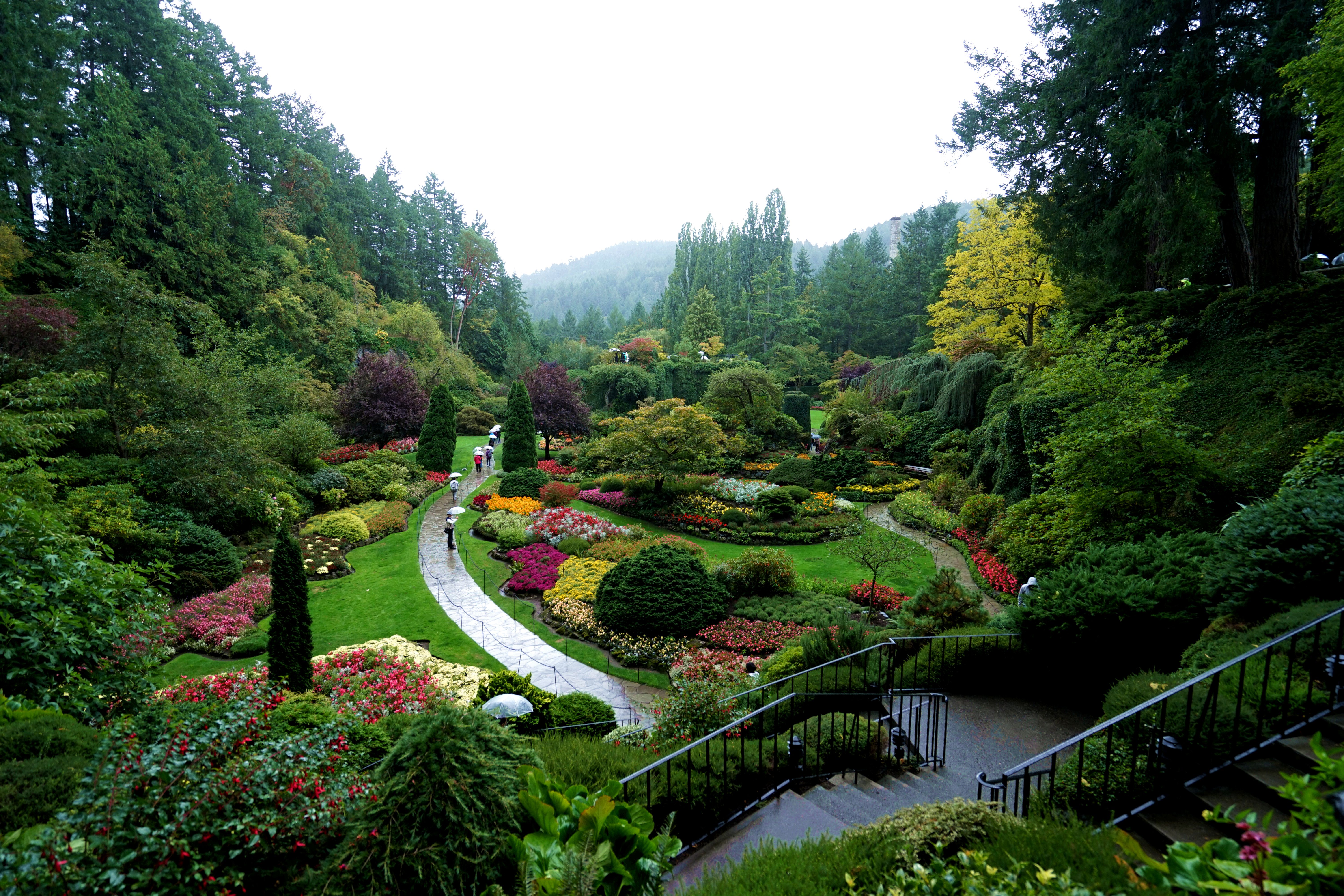 2024布查德花园游玩攻略,34.6元加币的门票相当于人民.【去哪儿攻略】