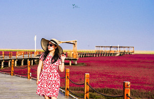 盘锦游记图文-天下奇观红海滩：地球上唯一的红色海岸，今秋国庆带她去赴最美的血色浪漫