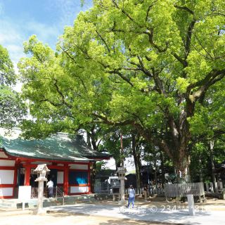 大阪安孙子大圣观音寺攻略-安孙子大圣观音寺门票价格多少钱-团购票价