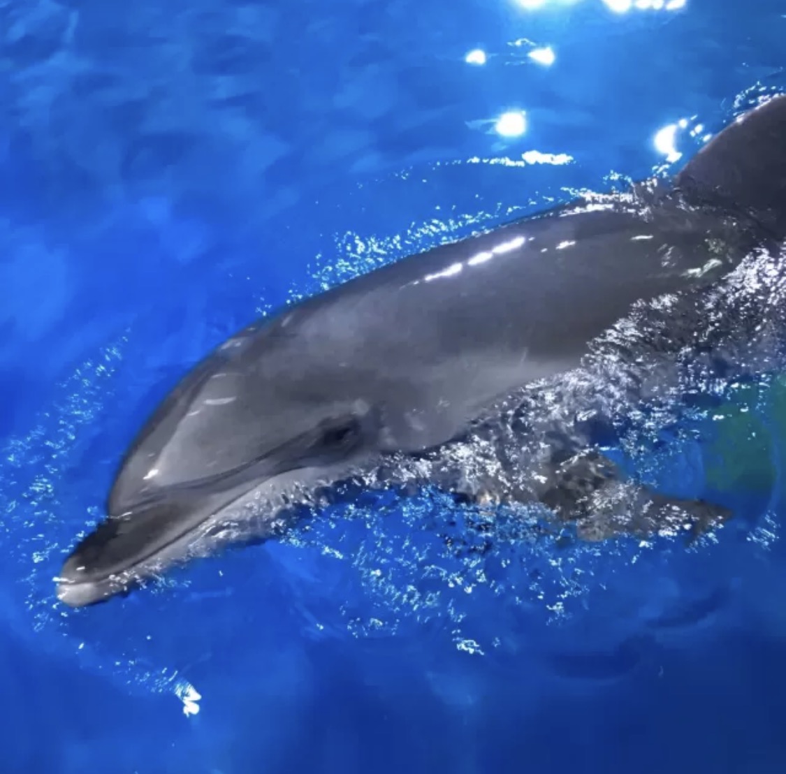 寿光极地海洋世界