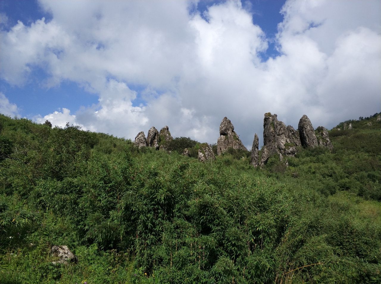 神農頂風景區是神農架旅遊的核心區域,有華中第一峰―神農頂,金絲