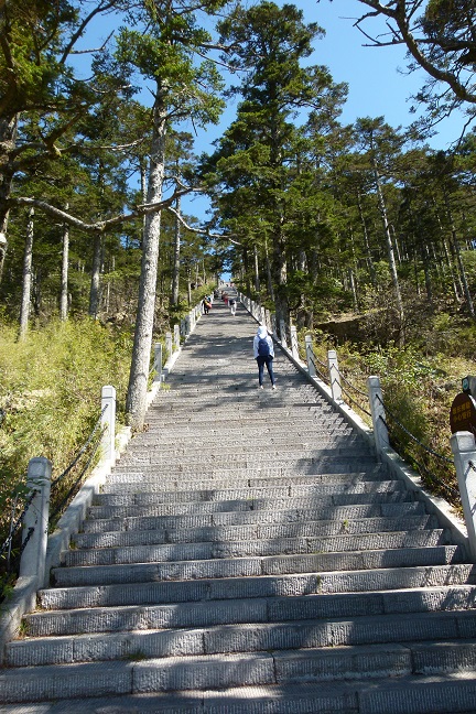 神農架神農頂風景區攻略,神農架神農頂風景區門票/遊玩攻略/地址/圖片