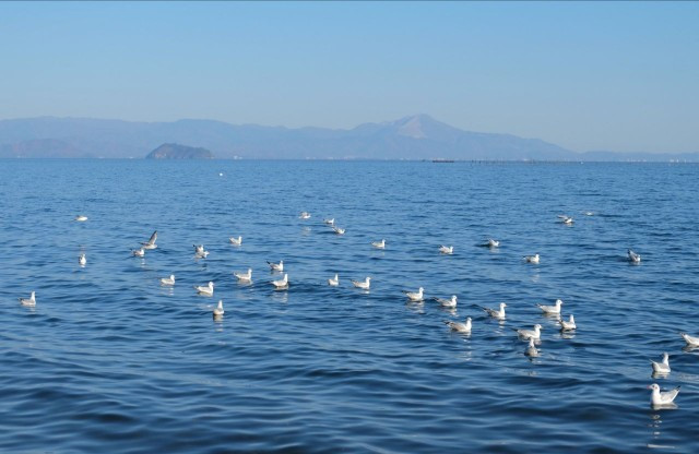 琵琶湖畔的美景 携程氢气球