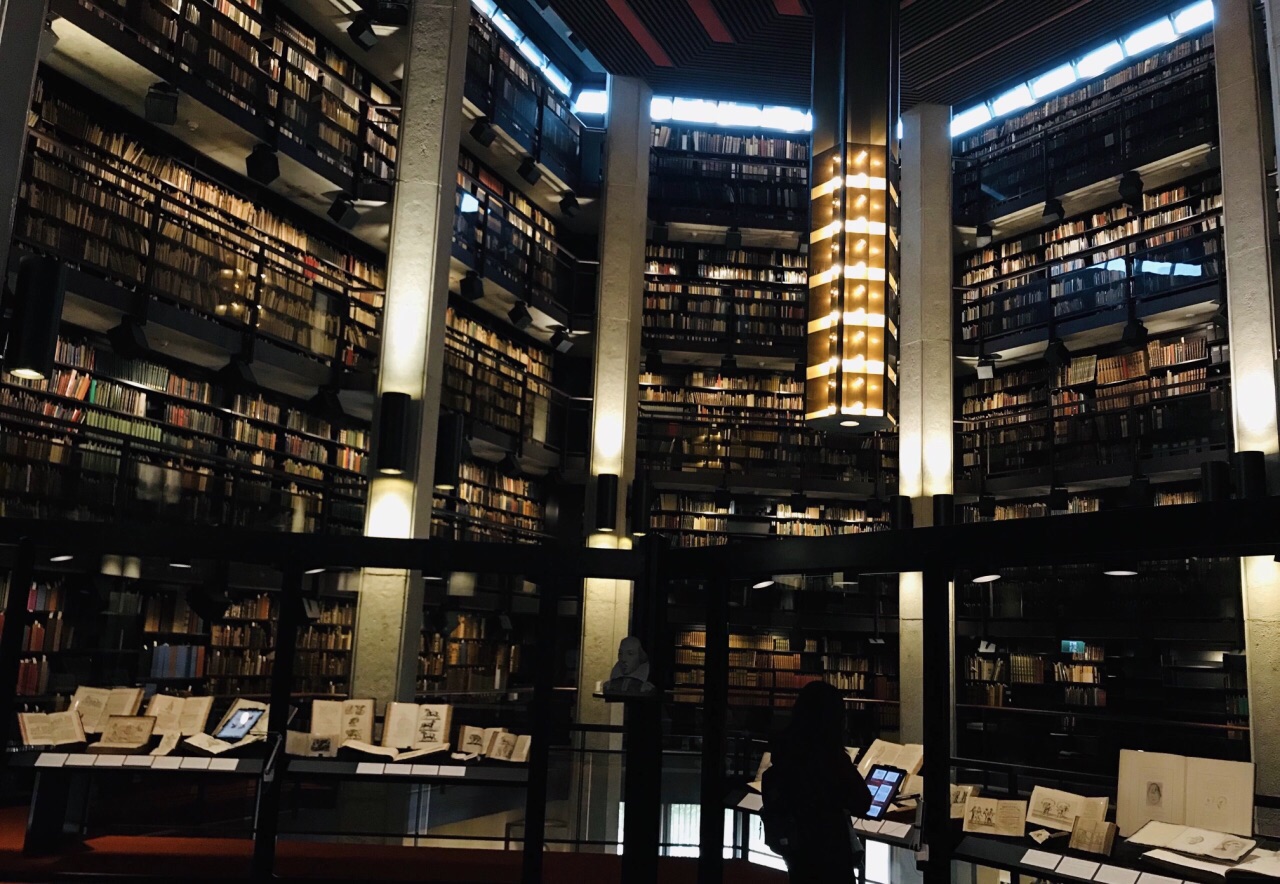 2020robarts library-旅游攻略-门票-地址-问答-游记点评,多伦多旅游