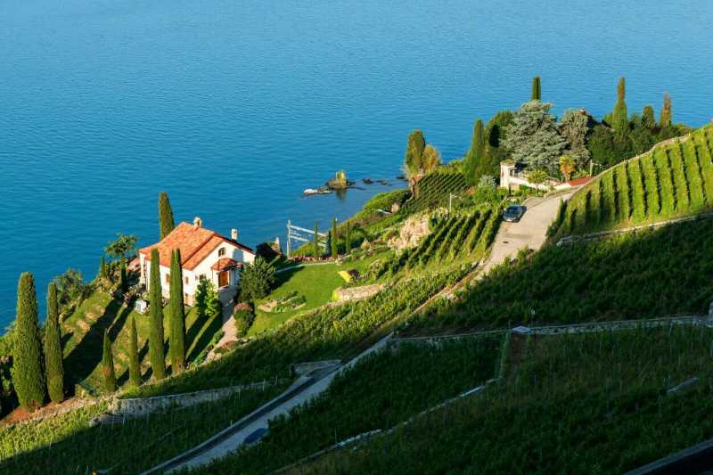 【瑞士旅行之 沃韦 】不得不承认 拉沃葡萄园梯田 是造物主的眷顾