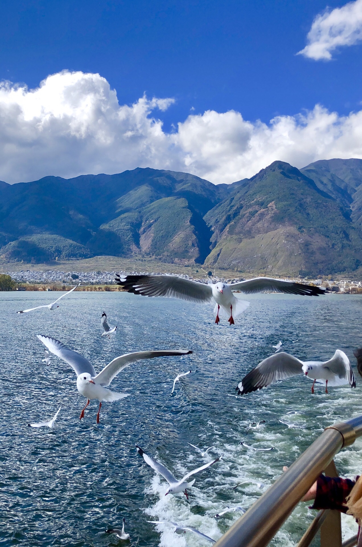 洱海图片风景图片真实图片