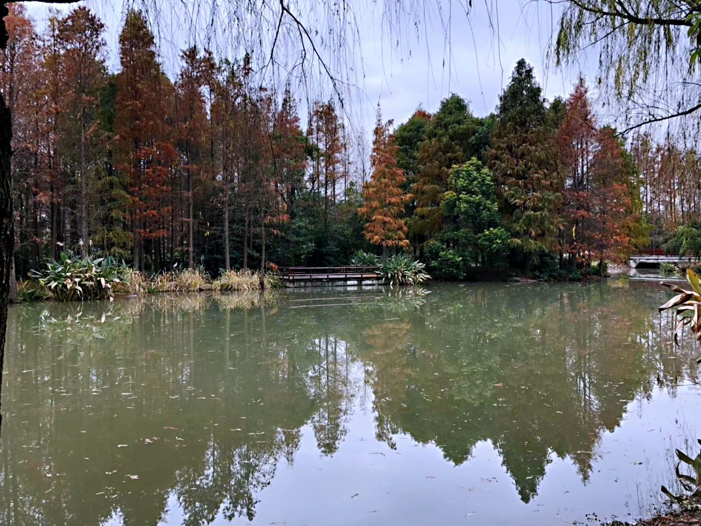 2019上海滨江森林公园-旅游攻略-门票-地址-问答-游记点评，上海旅游旅游景点推荐-去哪儿攻略