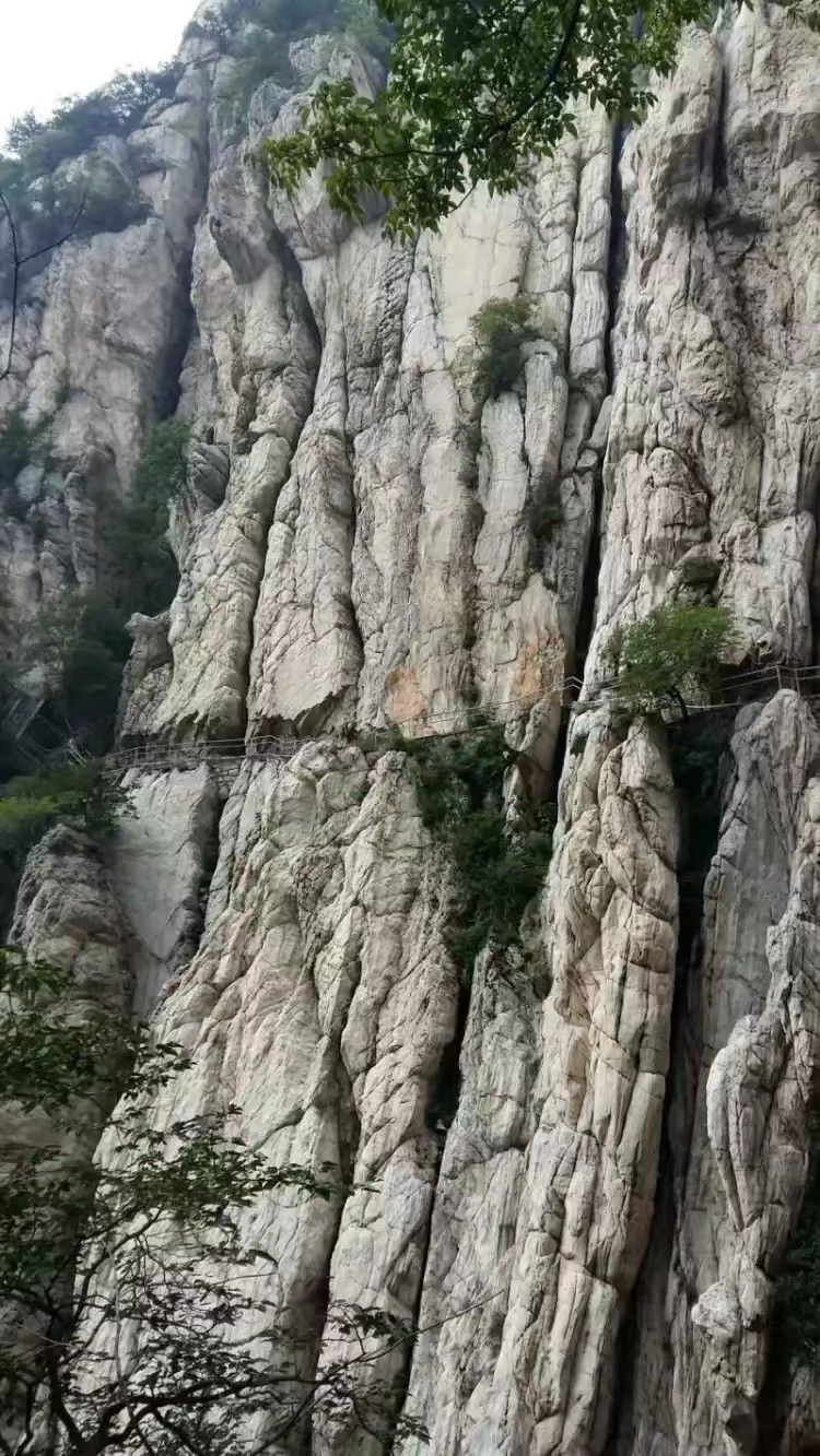 ɽ羰ʤ