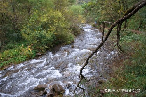 固原胭脂峽攻略-胭脂峽門票價格多少錢-團購票價預定優惠-景點地址