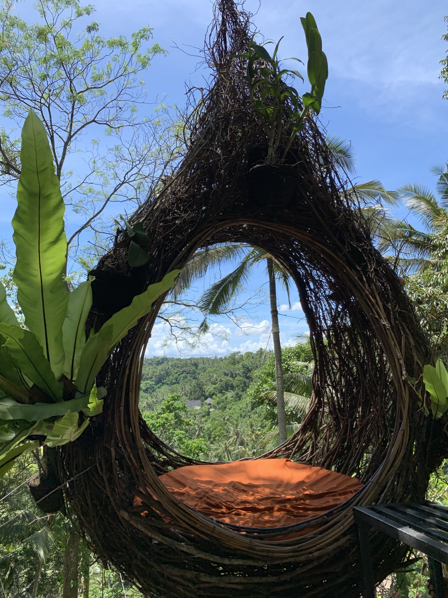 巴厘岛大秋千bali swing