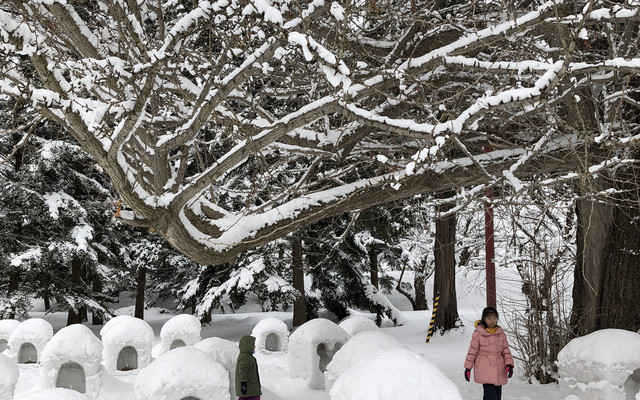 日本冬游玩雪好去处 青森县 青森县游记攻略 携程攻略