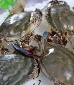 [东海游记图片] 海味三宝：蟹酱、泥螺、螺酱