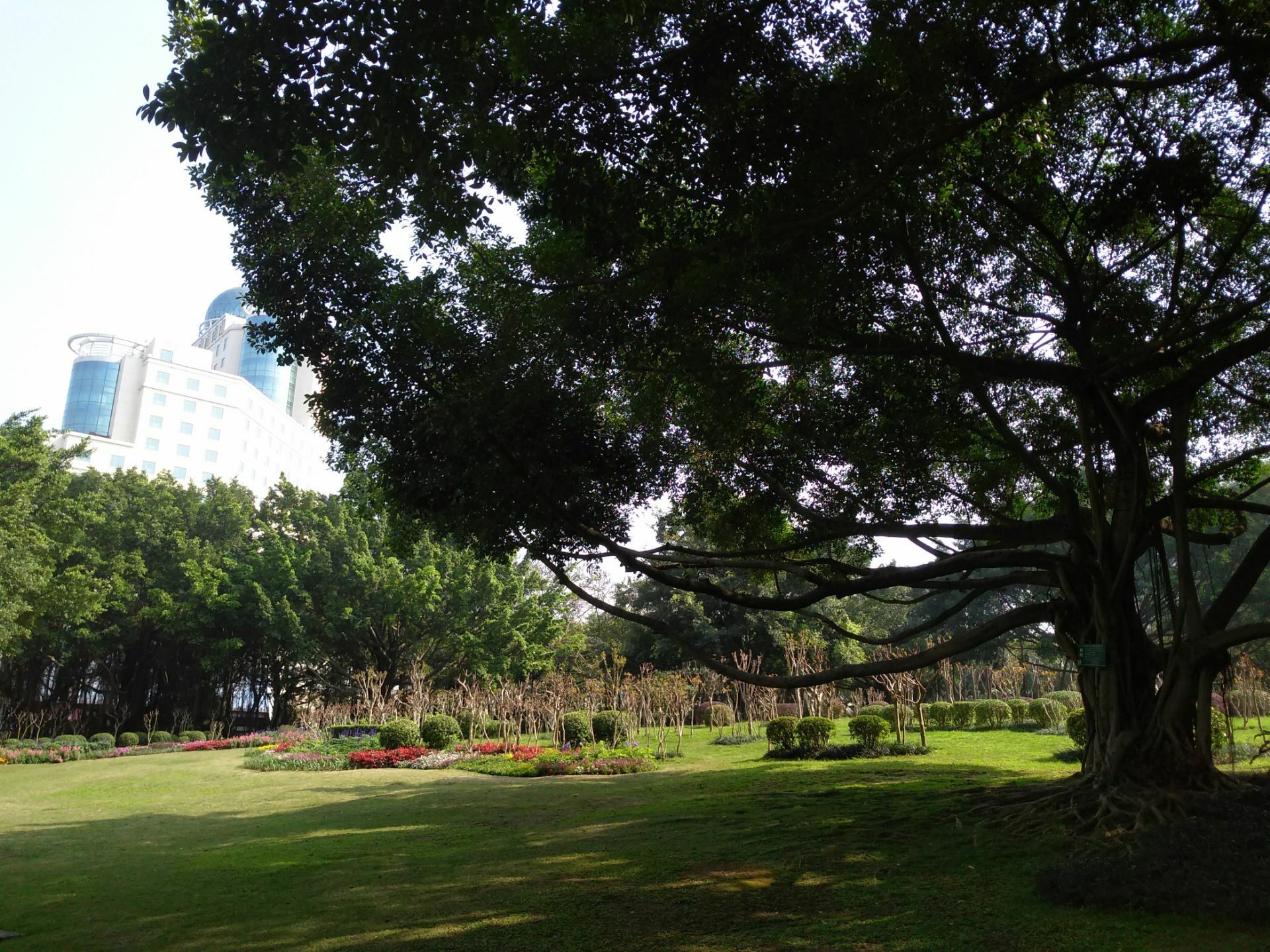 2023名树博览园游玩攻略,名树博物园是南宁南湖公园的...【去哪儿攻略】
