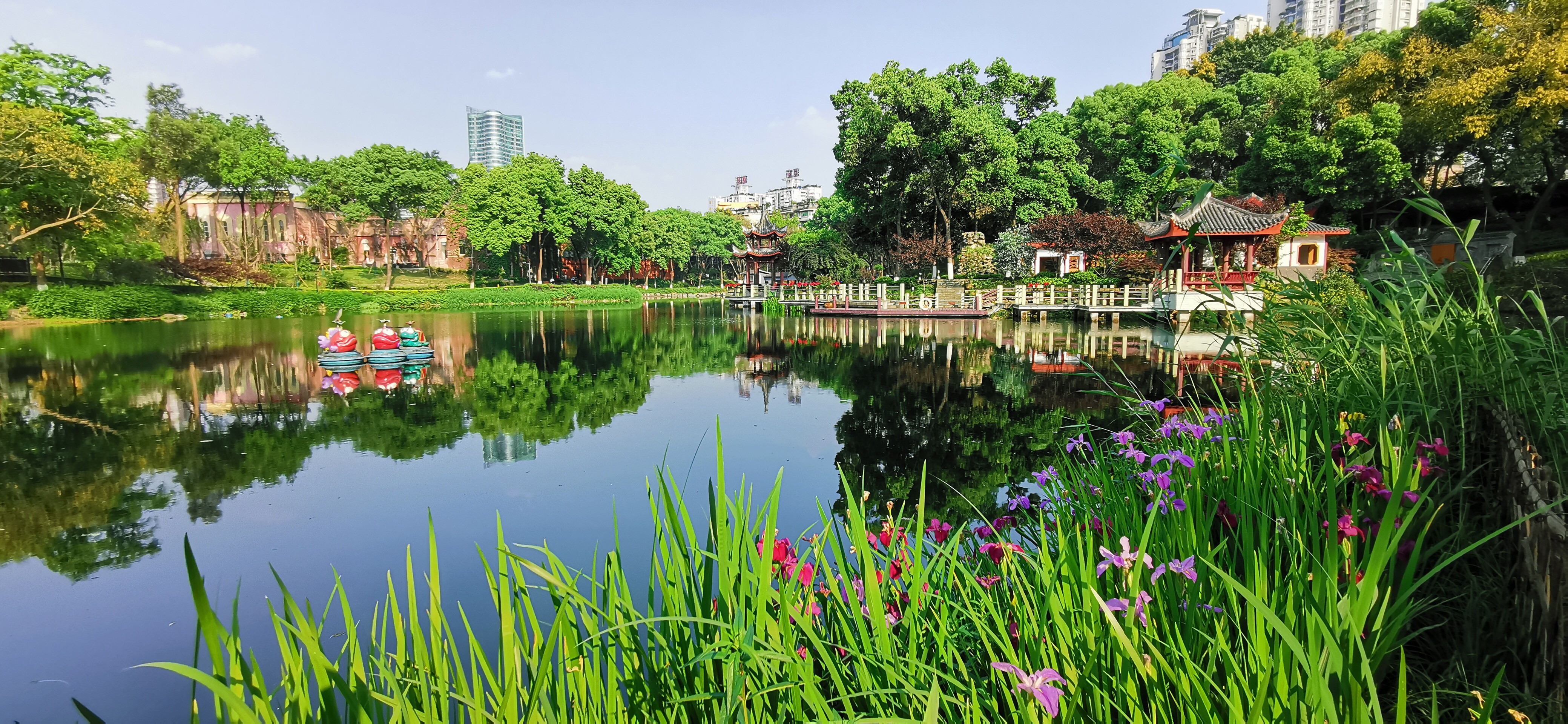 重庆沙坪公园好玩吗,重庆沙坪公园景点怎么样