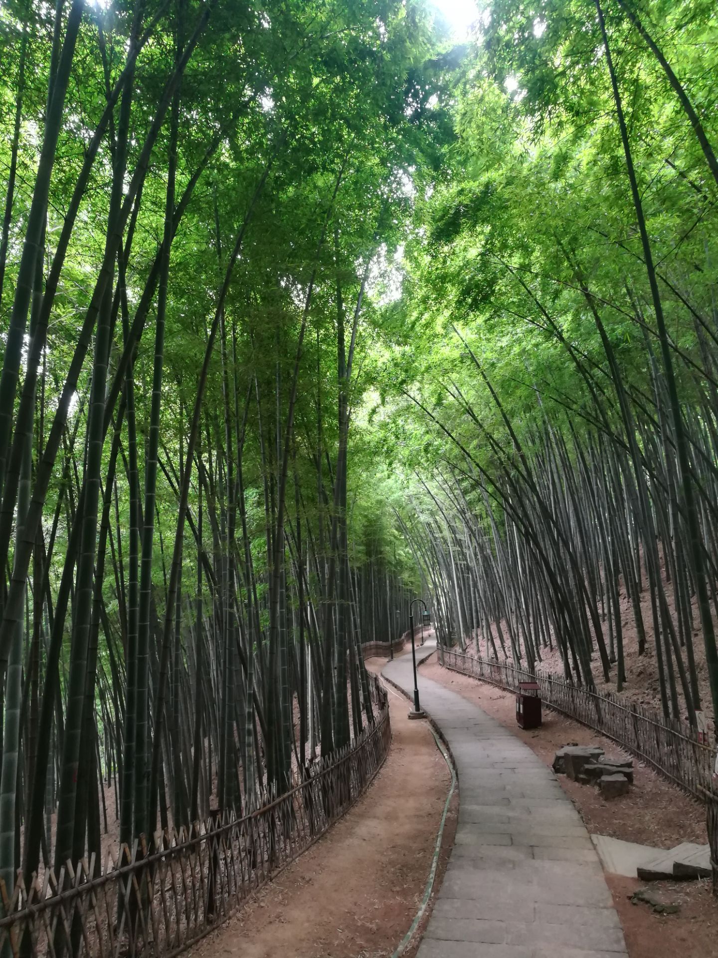 【携程攻略】杭州云栖竹径景点,非常值得去的地方，清爽幽静，竹林绕径，特别是雨后，空气好的无以复…