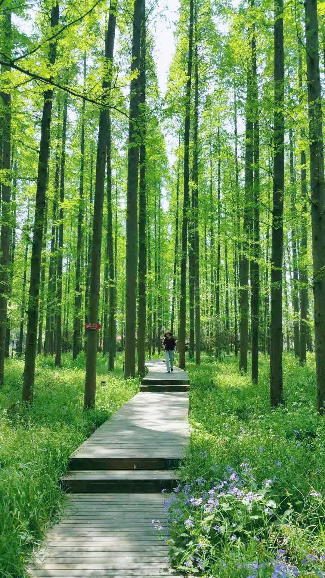 杭州城西森林公园景观设计 - 城市公共景观 - 首家园林设计上市公司