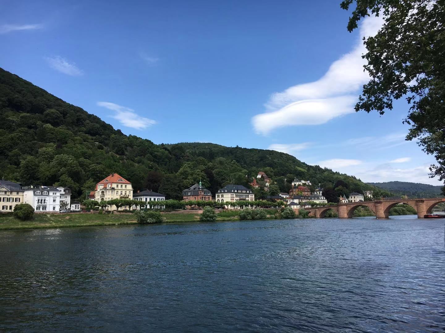 丽的内卡河,步行街有很多商店可以逛,很多餐厅和咖啡店,周末我们还