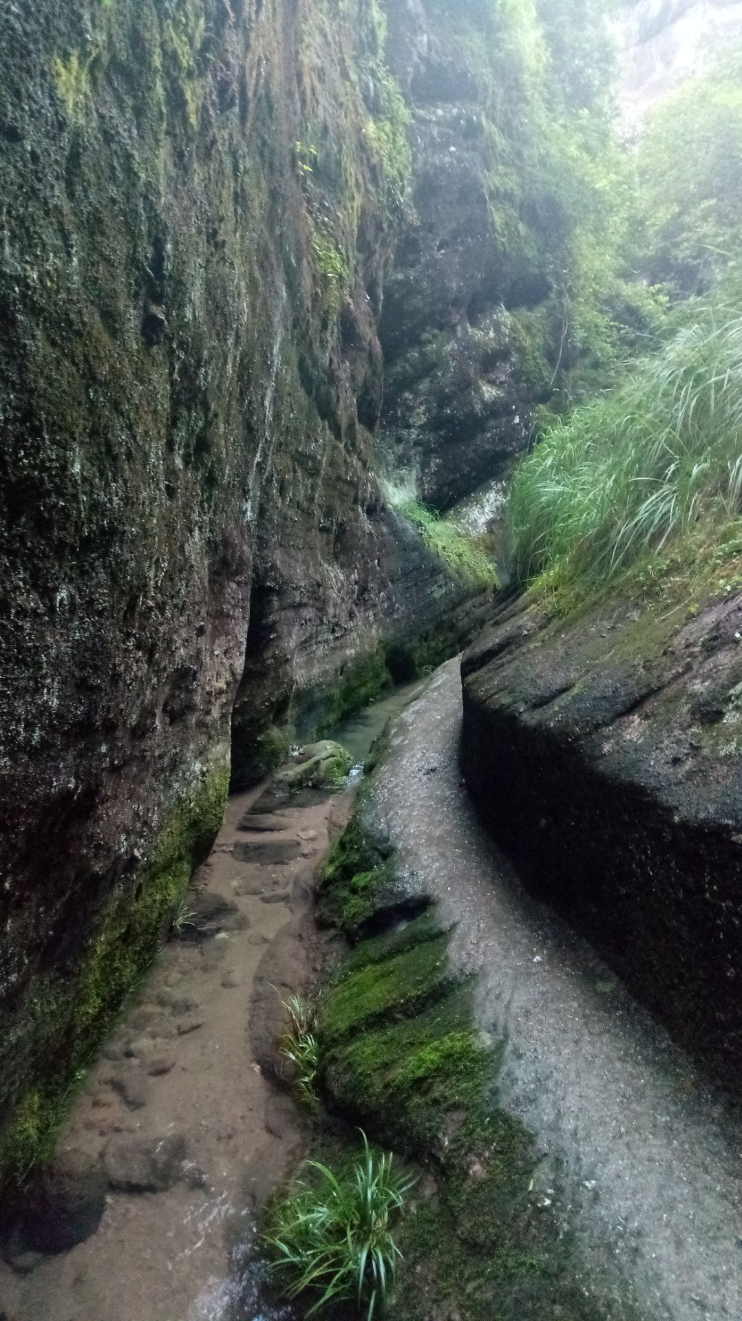 武夷山流香涧好玩吗,武夷山流香涧景点怎么样_点评_评价【携程攻略】