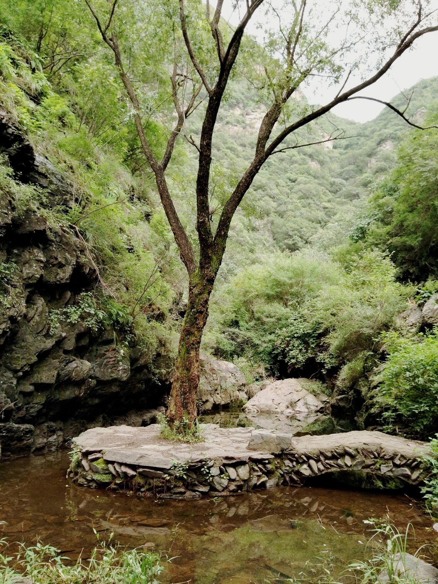 双龙峡自然风景-中关村在线摄影论坛
