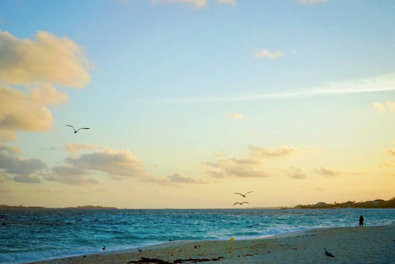 巴哈马，世界上唯一的粉色沙滩 - 蚂蜂窝