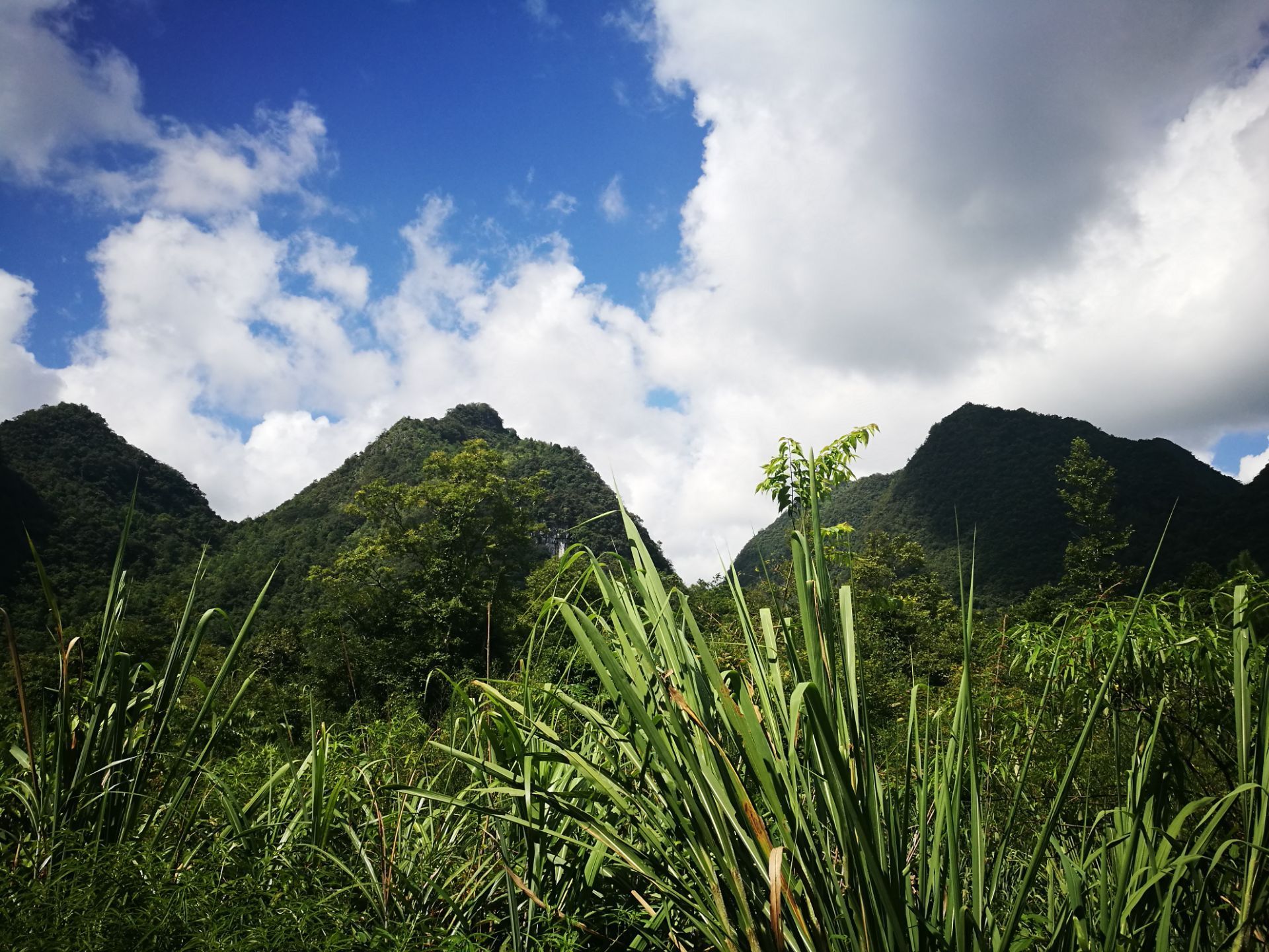 荔波龟背山观光车候车点攻略,荔波龟背山观光车候车点门票/游玩攻略