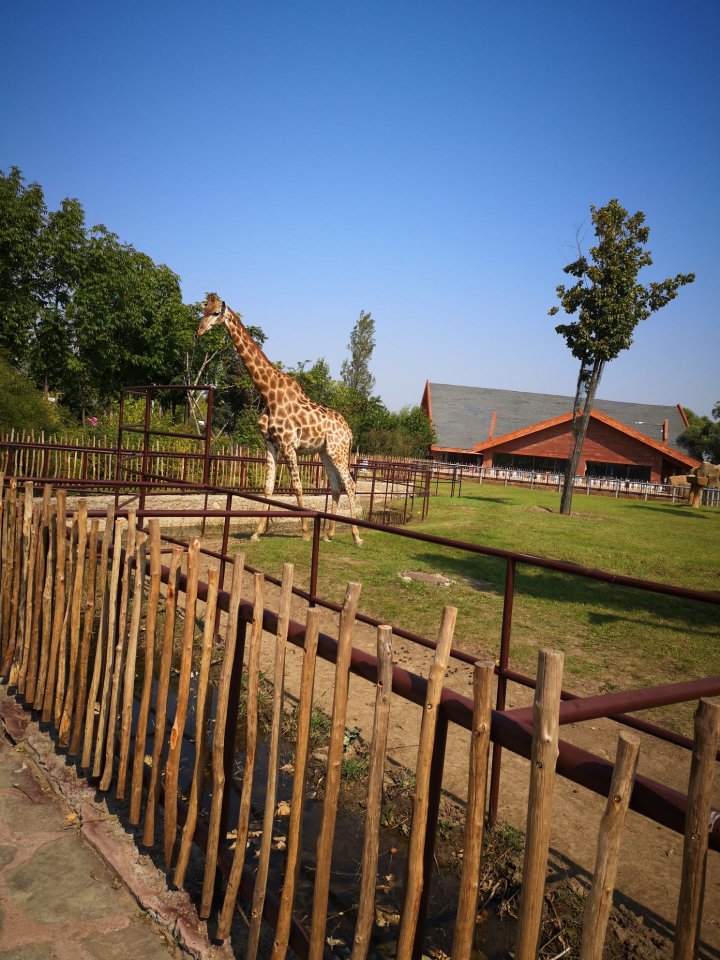 齊齊哈爾龍沙動植物園好玩嗎,齊齊哈爾龍沙動植物園景點怎麼樣_點評