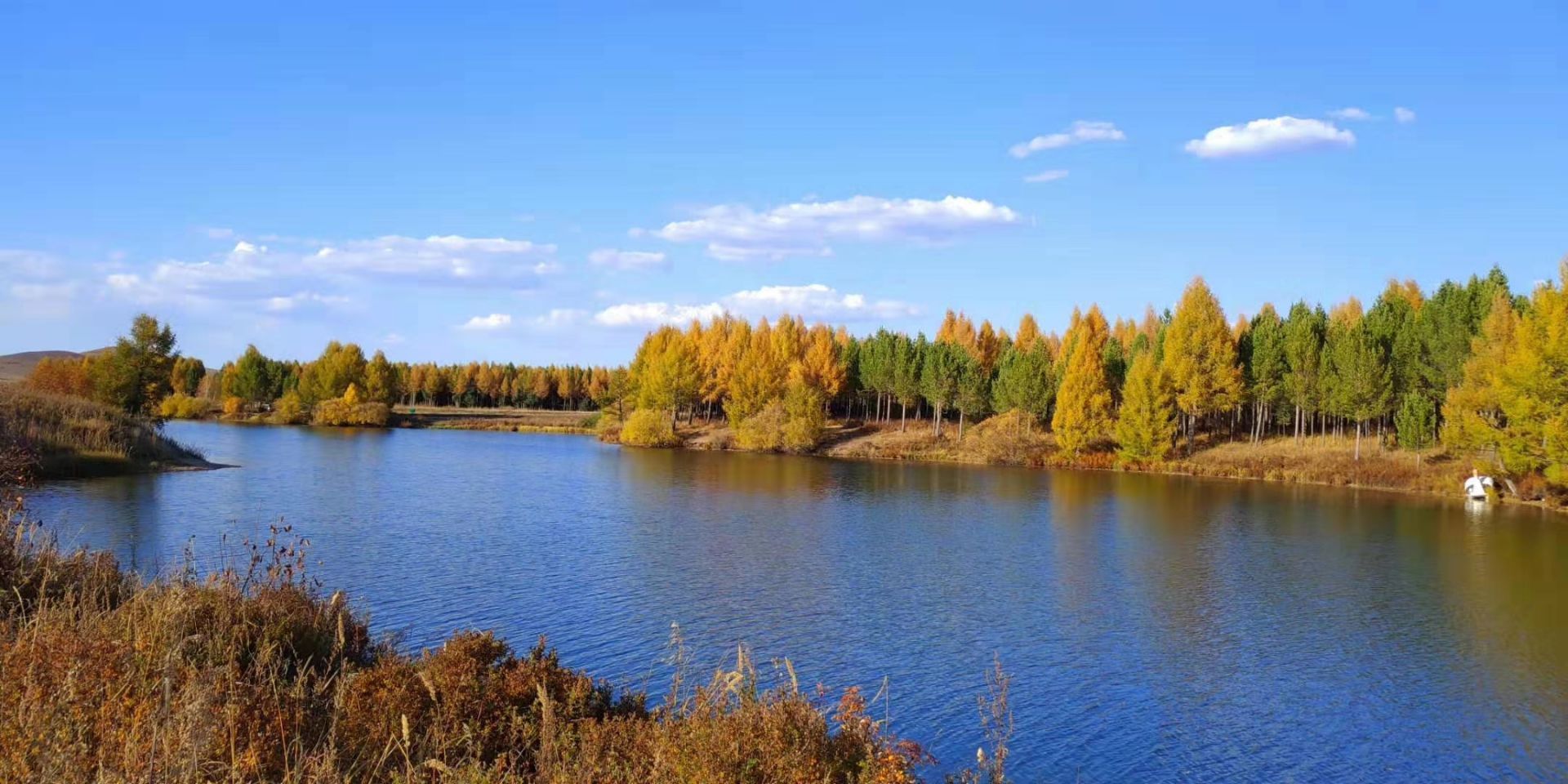 罕坝国家森林公园_旅游攻略_门票_地址_游记点评,塞罕坝旅游景点推荐