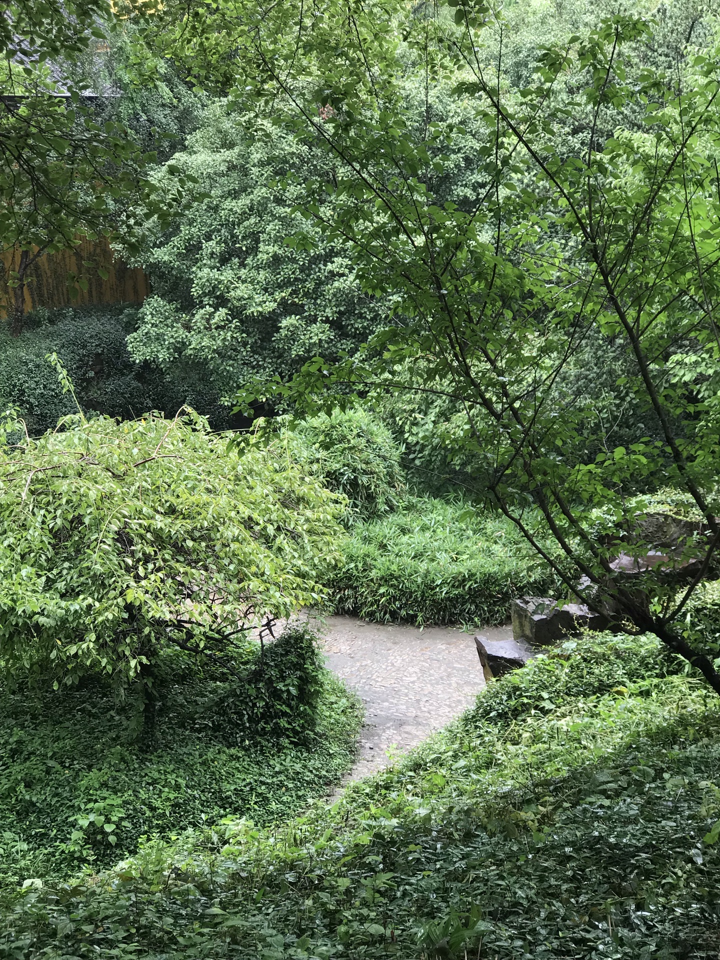 芝山岩健走步道图片