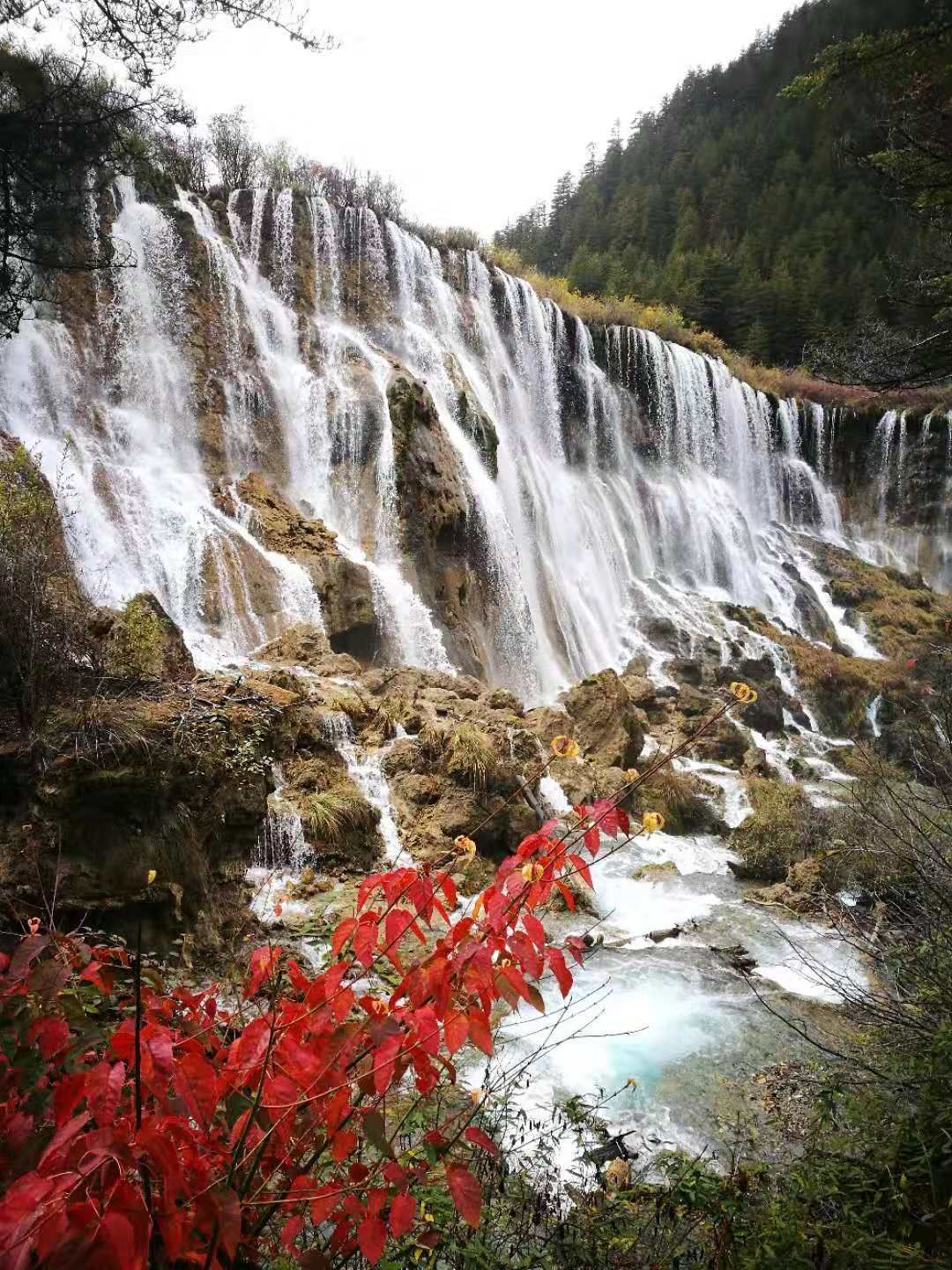 九寨溝諾日朗瀑布攻略,九寨溝諾日朗瀑布門票/遊玩攻略/地址/圖片