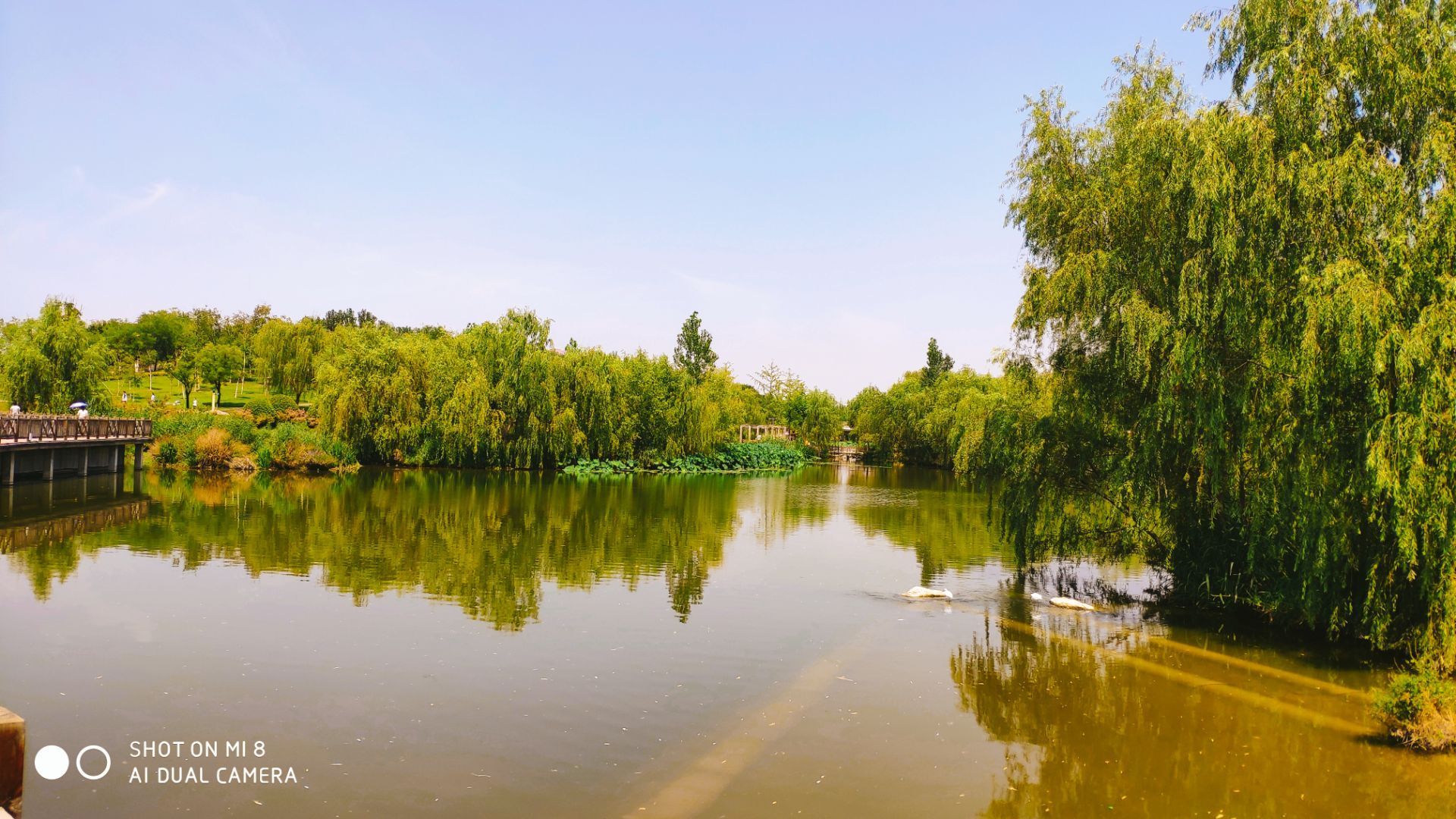 西安滻灞國家溼地公園