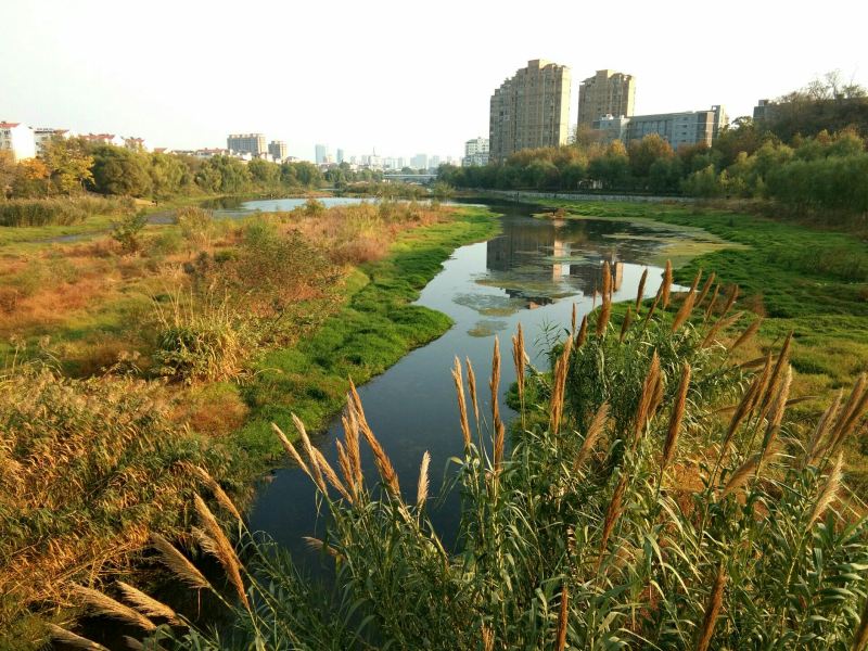 桐城龍眠河公園遊玩攻略-龍眠河公園門票多少錢/價格表-團購票價預定