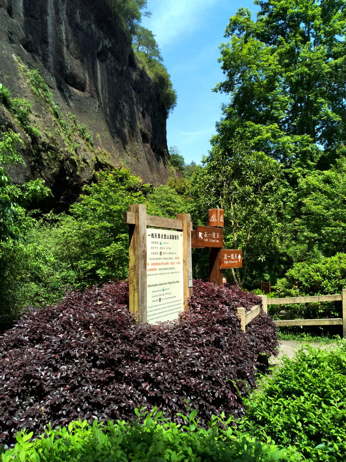 2023一线天景区-旅游攻略-门票-地址-问答-游记点评,武夷山旅游旅游