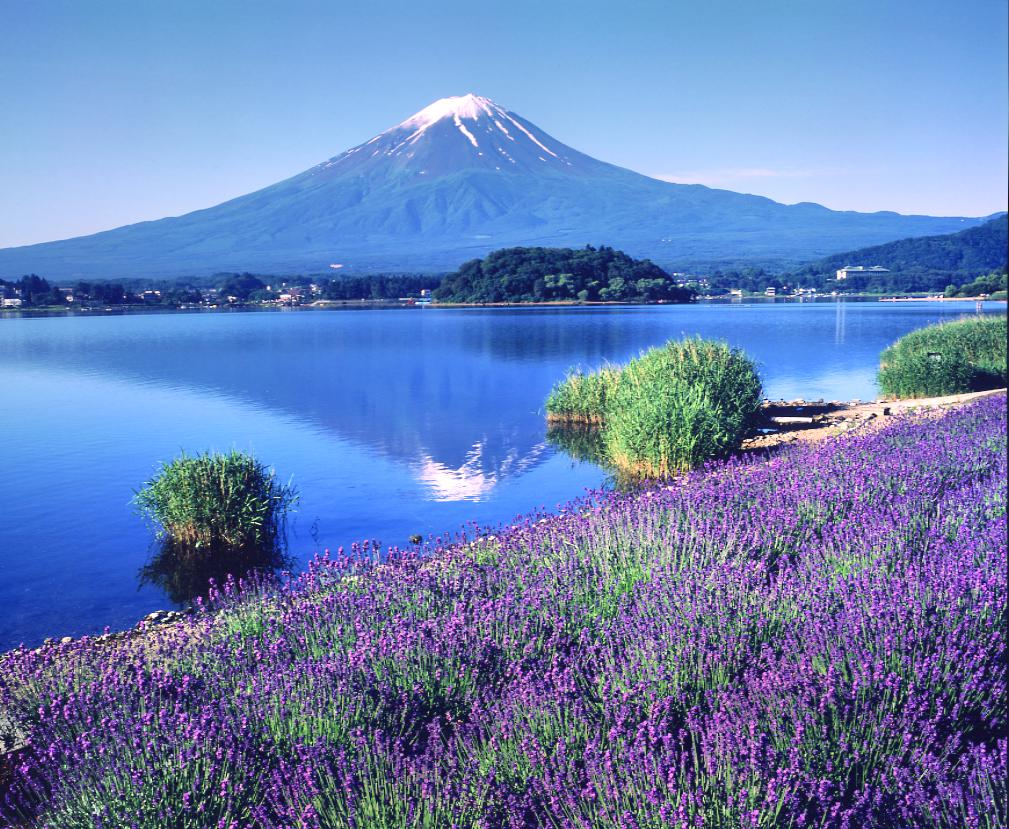 富士河口湖町八木崎公园攻略,富士河口湖町八木崎公园门票/游玩攻略