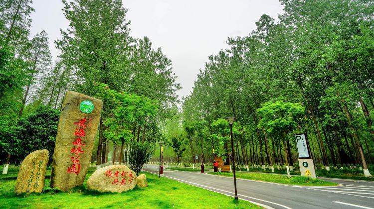 東臺黃海森林公園攻略-黃海森林公園門票價格多少錢-團購票價預定優惠