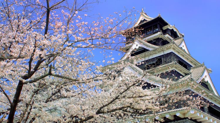 熊本熊本城攻略 熊本城门票价格多少钱 团购票价预定优惠 景点地址图片 携程攻略